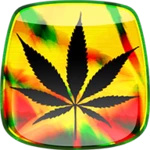 rasta weed live wallpaper android application logo